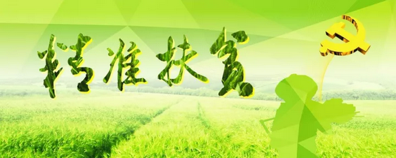 源碼助力來賓精準扶貧，點亮新寨村幸福之路