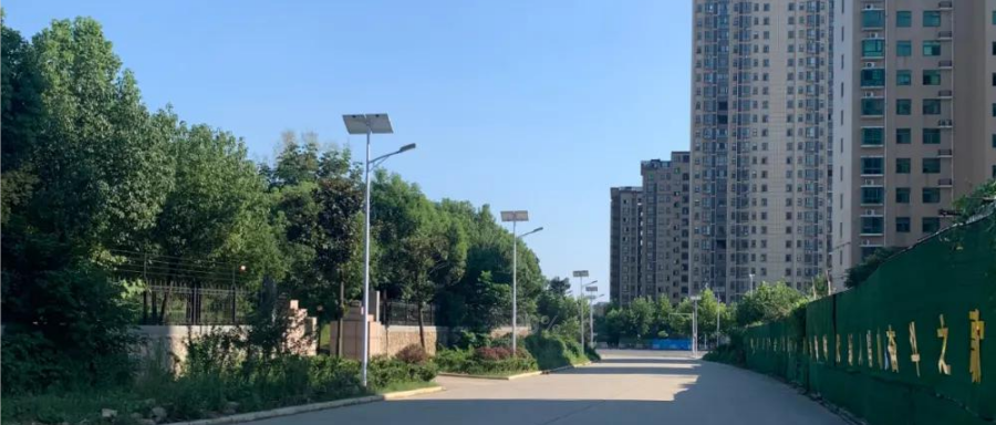 云鵬燈〡九萬(wàn)里風(fēng)安稅駕，云鵬今悔不卑飛